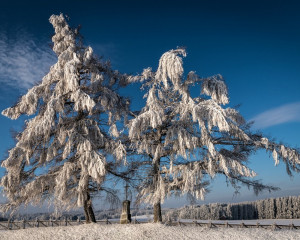 Platz-001-Peter-Ernszt