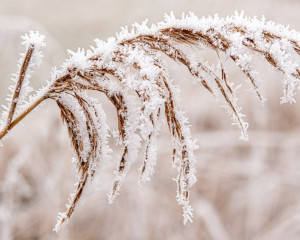 Platz-001-Peter-Reder