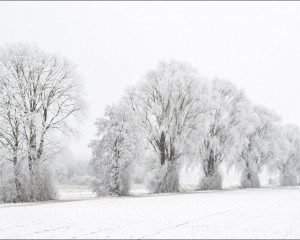 Platz-001-Robert-Span