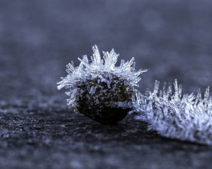 Platz-001-Ruth-Sommer