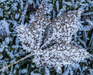 Platz-005-Michael-Konrad