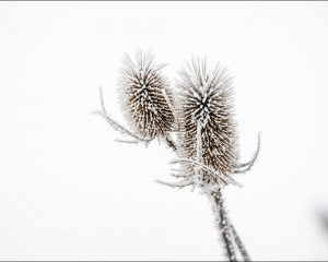 Platz-005-Robert-Span