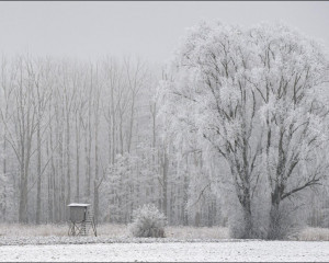 Platz-007-Robert-Span