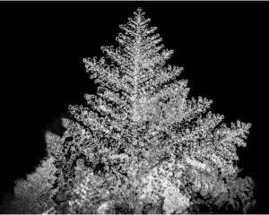 Platz-008-Michael-Konrad