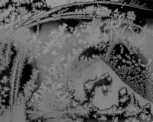 Platz-010-Elmar-Jonietz