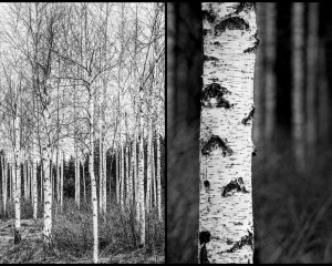 Platz-004-Ruth-Sommer