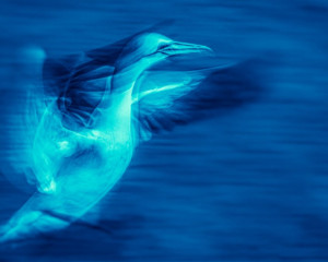 Platz-004-Peter-Ernszt