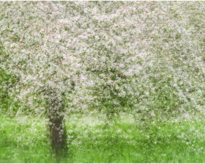 Platz-009-Robert-Span