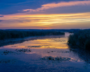 Platz-004-Robert-Span