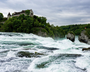 Platz-007-Ruth-Sommer