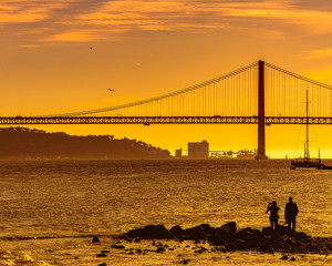 Platz-009-Roland-Hank