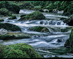 Platz-009-Ruth-Sommer