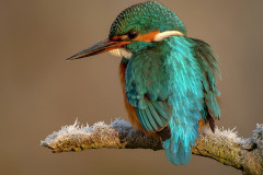 2024-08 - Festplattenschätze