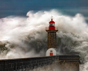 Platz-002-Roland-Hank