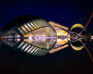 Platz-003-Roland-Hank