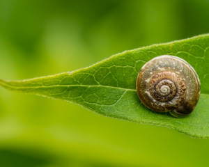 Platz-009-Michael-Konrad