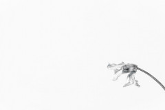 2024-09 - Minimalismus