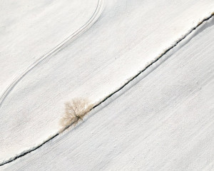 Platz-003-Roland-Hank