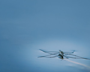 Platz-004-Michael-Konrad