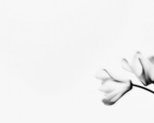 Platz-004-Ruth-Sommer