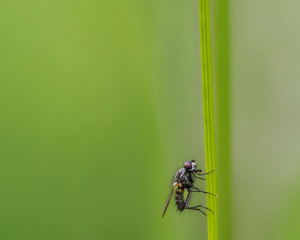 Platz-007-Michael-Konrad