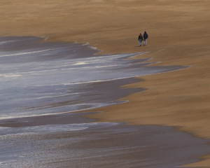 Platz-008-Roland-Hank