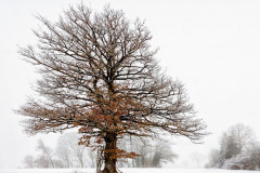 2024-11 - Einsam - Stille Momente