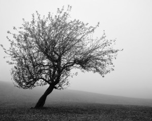 Platz-002-Gerhard-Mueller