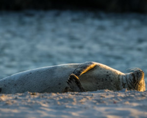 Platz-006-Peter-Ernszt