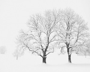 Platz-007-Gerhard-Mueller-2