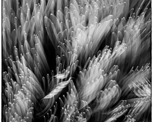 Platz-008-Peter-Ernszt