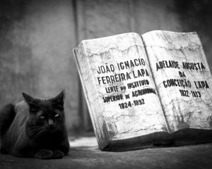 Platz-007-Roland-Hank