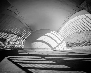 Platz-009-Roland-Hank