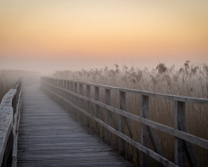 Platz-001-Peter-Ernszt