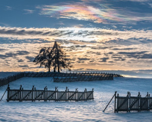 Platz-002-Peter-Ernszt