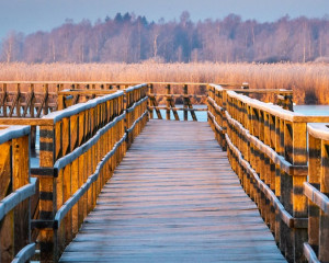 Platz-003-Peter-Ernszt