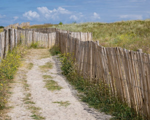 Platz-010-Robert-Span