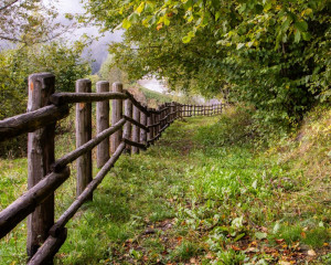 Platz-010-Roland-Hank-2