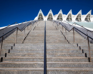 Platz-010-Roland-Hank