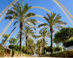 Platz-002-Peter-Reder