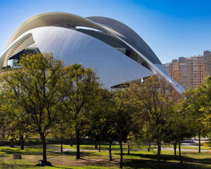 Platz-002-Roland-Hank