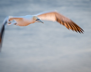 Platz-001-Peter-Ernszt