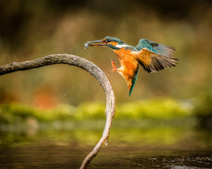 Platz-002-Peter-Ernszt