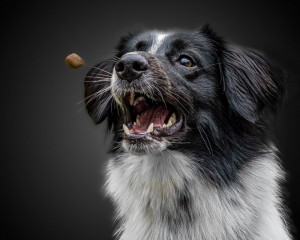 Platz-003-Michael-Konrad