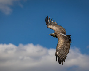 Platz-004-Sebastian-Schumann