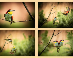 Platz-005-Peter-Ernszt