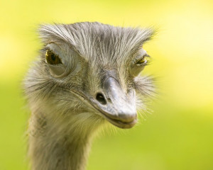 Platz-007-Roland-Hank