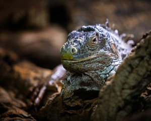 Platz-007-Sebastian-Schumann