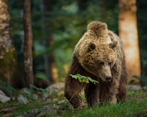 Platz-009-Michael-Konrad