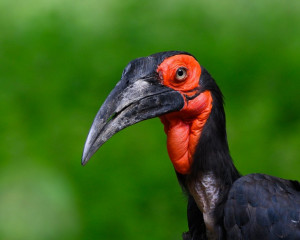 Platz-009-Peter-Reder